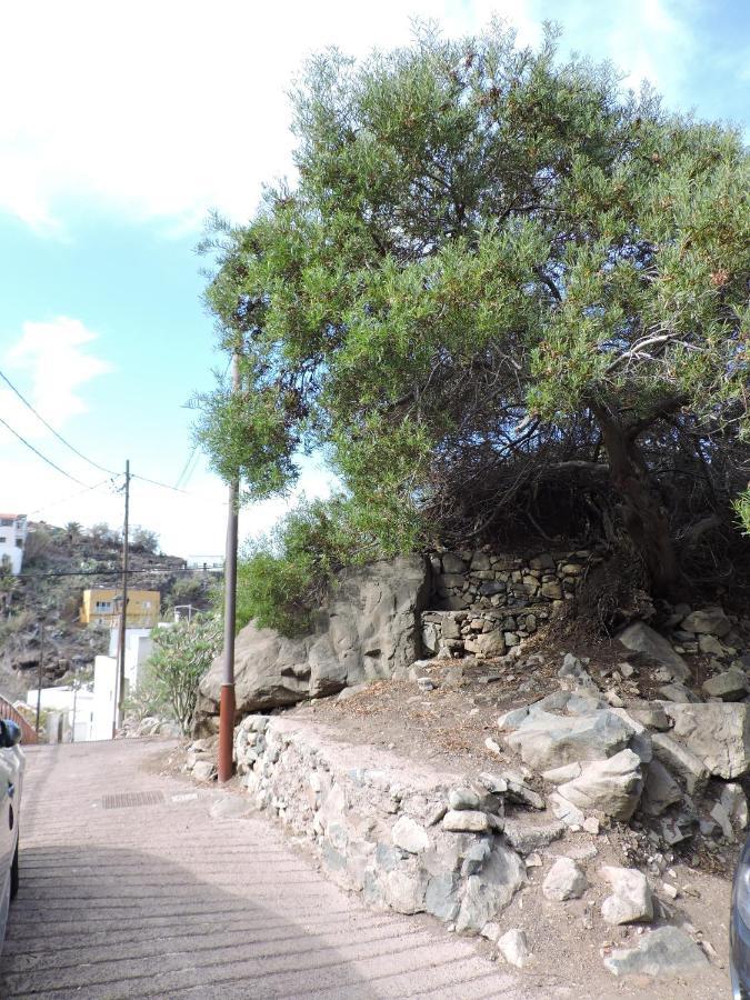 Casa Lilia, En Taganana Villa Santa Cruz de Tenerife Eksteriør billede